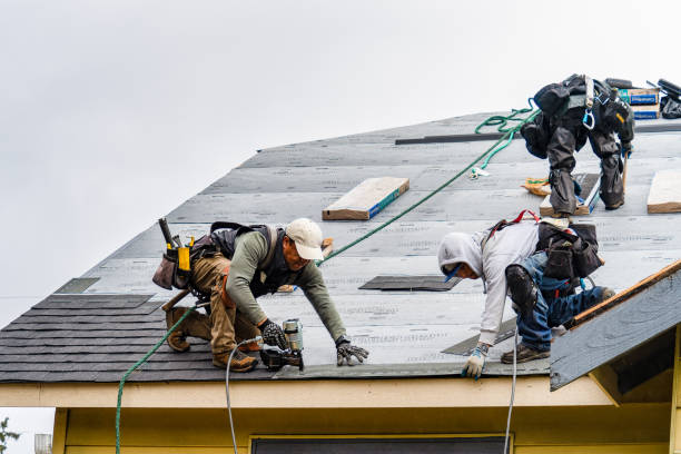 Professional Roofing technician working in Newtonville, NJ